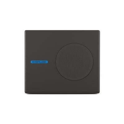 CVGAUDIO SUBONE MODEL A-6/BL/CR